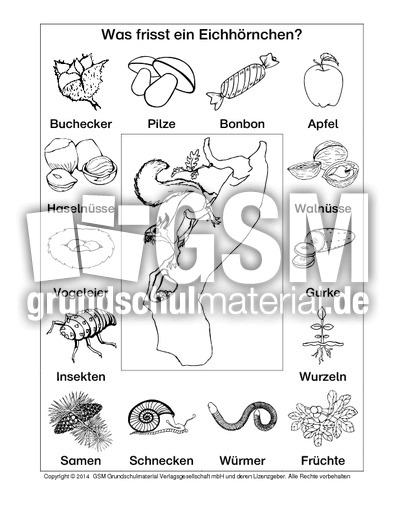 AB-Eichhörnchen-Nahrung-SW.pdf
